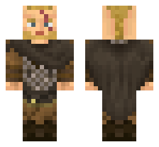 skin