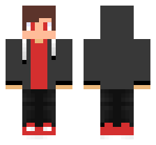 skin