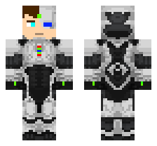 skin