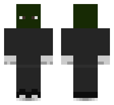skin