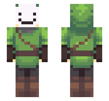 skin
