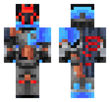 skin