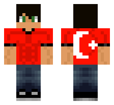 skin