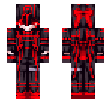 skin