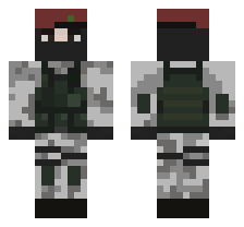 skin