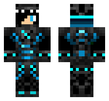 skin