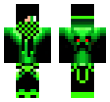 skin