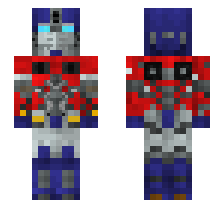 skin