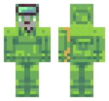 skin