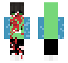 skin