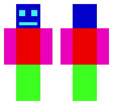 skin