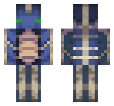 skin