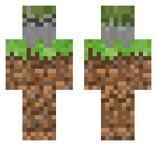 skin