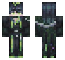 skin