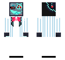 skin