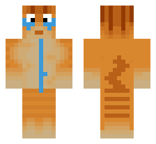 skin