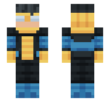 skin