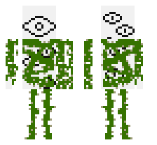 skin