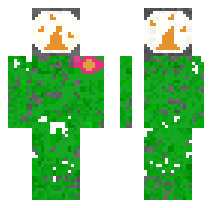 skin