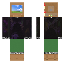 skin
