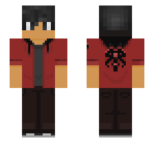 skin