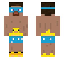 skin