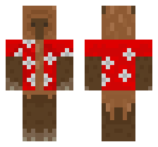 skin