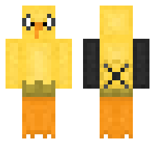skin