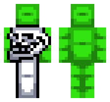 skin