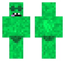 skin