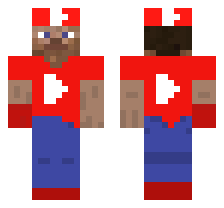 skin
