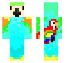 skin