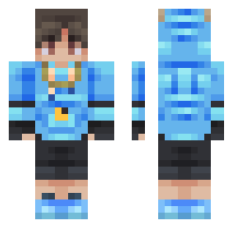 skin