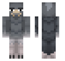 skin