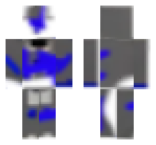 skin