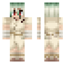 skin