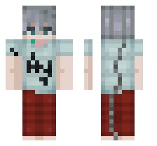 skin