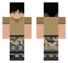 skin