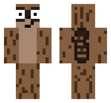 skin