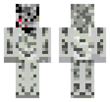 skin