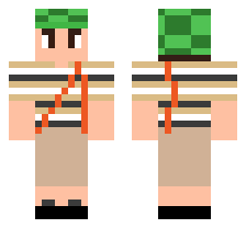 skin