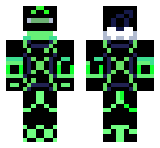 skin