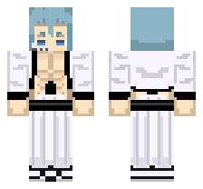 skin