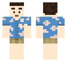 skin