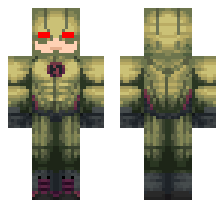 skin
