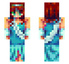 skin