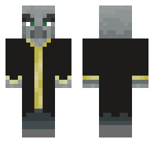 skin