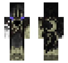skin