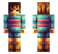 skin