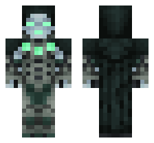 skin